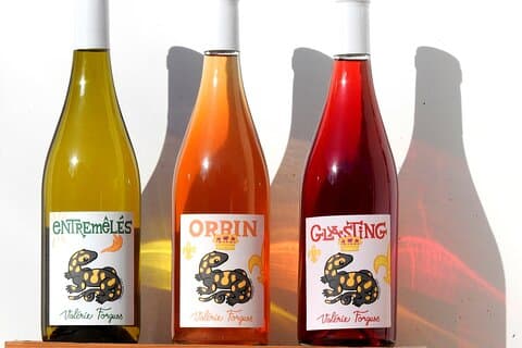 vins DE la Méchinière