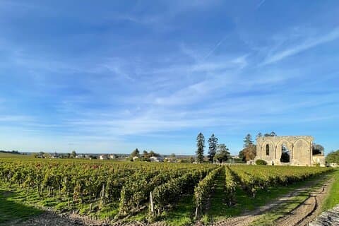 From Bordeaux Half day in Saint-Emilion EN Van Privatif