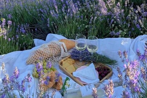 Lavender Fields and Hilltop Villages with Car and Private Guide