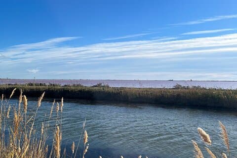 Private full day Camargue and Aigues-Mortes tour