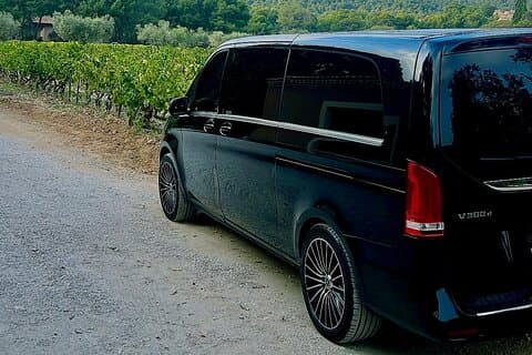 Visit vineyard