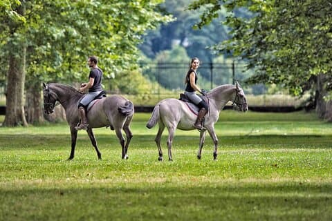 One day at Versaille