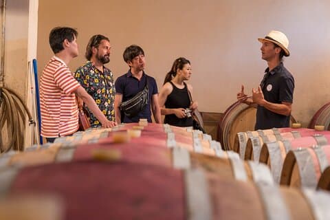 Luberon and Chateauneuf du Pape Wine Tour
