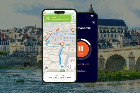 GPS Audioguide application: From the Royal Castle to the banks of the Loire (Offline).