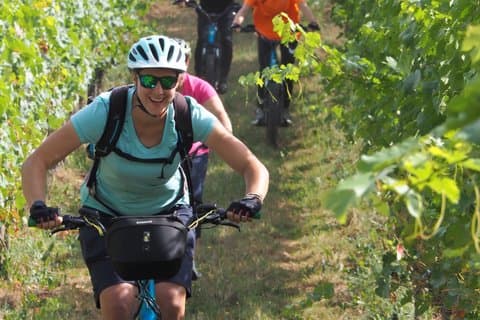 Vine tour in Irouléguy by electric scooter