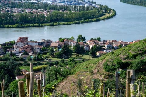 Northern Rhône Valley Wine Private Tour from Lyon