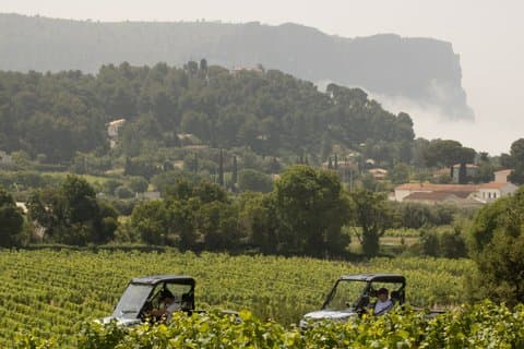 Cassis Domaine forest des janots and route des ridges en Buggy