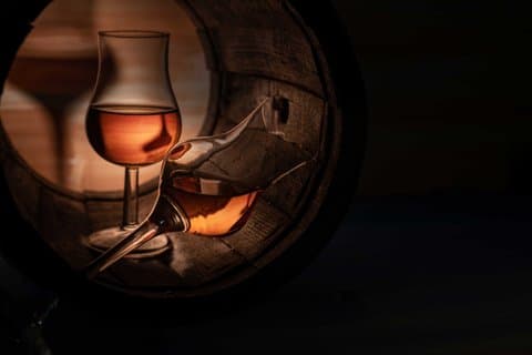 Cognac Wine Tour to Vineyard Safari and Royal Château