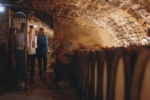 Immersive tour