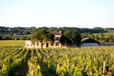 Château Grangey Visit and tasting in the heart of the vineyard