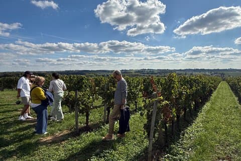 Half day in Saint Émilion from Bordeaux with tasting
