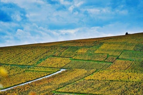 Paris Wine Day Tours - Chablis Wine tour - 3 Tastings with Lunch