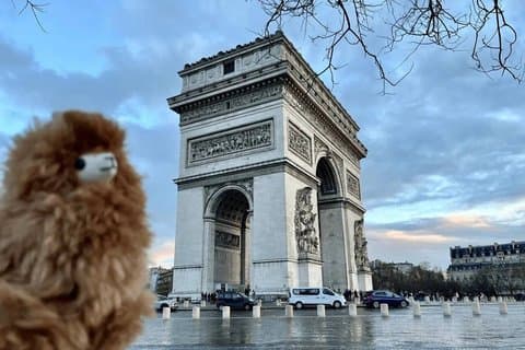 Paris day city tour by Car