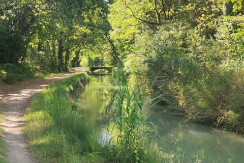 Private nature walk Along the water walk accompanied