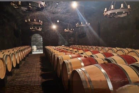 Private half-day tour of Châteauneuf du Pape from Avignon