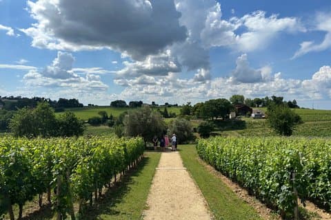 A day in St-Émilion and its Castles in private tour (Van Luxe)