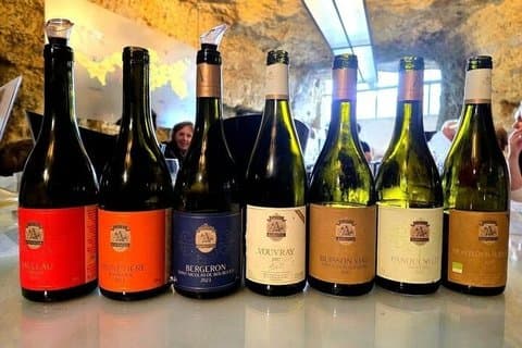 Paris to Loire Valley Wine Tour with Tastings