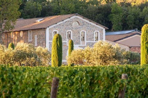 Visit of one of the most modern cellars in Provence
