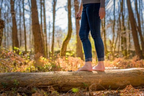 Silvotherapy an immersion in the heart of nature near Tours
