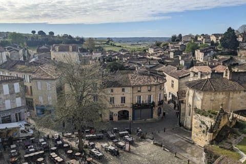 Full Day Saint-Emilion: 2 Wineries with Tastings + Village Tour