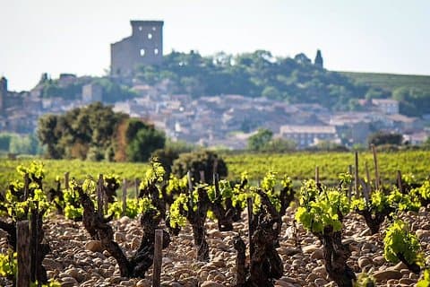 Chateauneuf-du-Pape wine tasting, Avignon & Saint Remy Provence