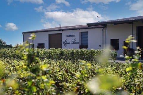 Visit of a family estate of Champagne near Reims