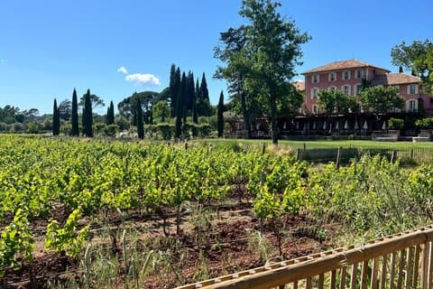 Private Luxury Wine Shore Excursion from Saint-Tropez Port