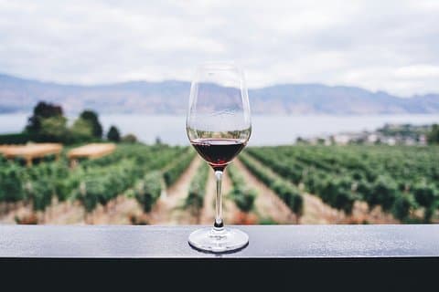 Sun Vines and Gold Rose Private Luxury Wine Journey from Cannes