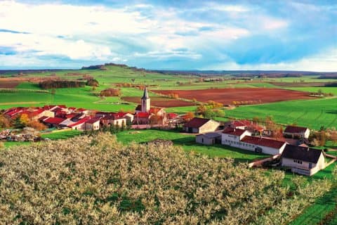 Visit Introduction: Brewery and distillery