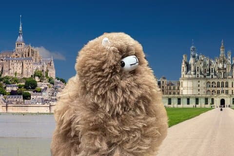 2Day Grand French Adventure: Mont Saint Michel D-Day Loire Valley
