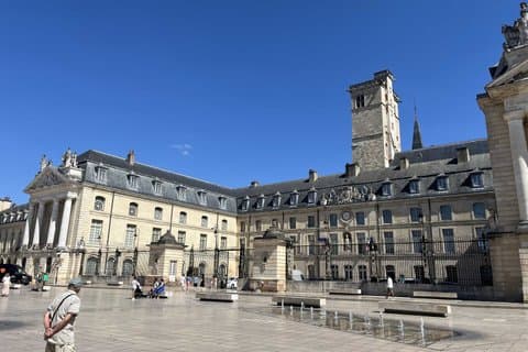 Dijon Walking City Tour with Audio guide - Updated june '26
