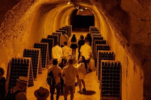 Small-Group Champagne Lunch & Tasting from Paris with Pickup