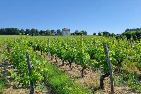 Introduction to Loire Anjou Wines Morning Wine Tasting Tour
