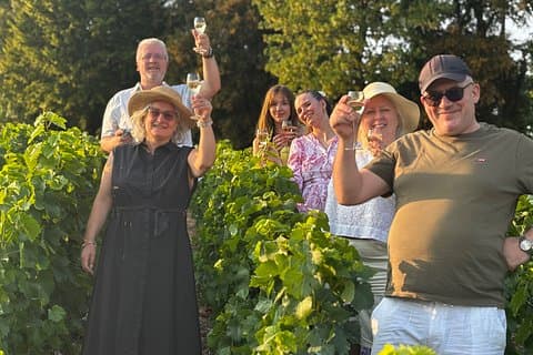 First steps in Champagne Guided tour by van and tastings