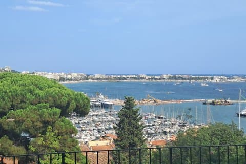 Cannes Private Walking Tour Old Town Cinema and Hidden Secrets