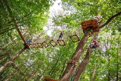 Adventure Park and Climbing Day in the Forest near Paris