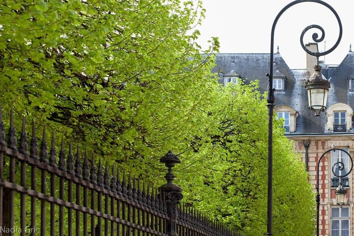 Discover Place des Vosges!