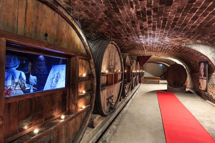 Wine Tour from Nice