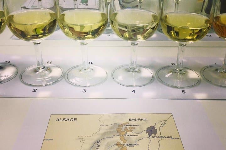 Alsace wine tasting and comparing