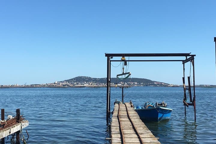 Highlights of Sète, food and wine tour