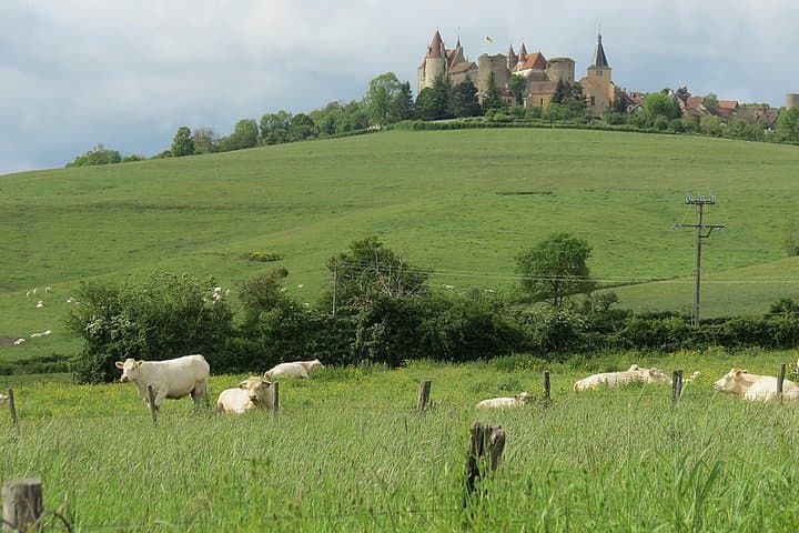 Private Wine Tour to Burgundy Region from Paris