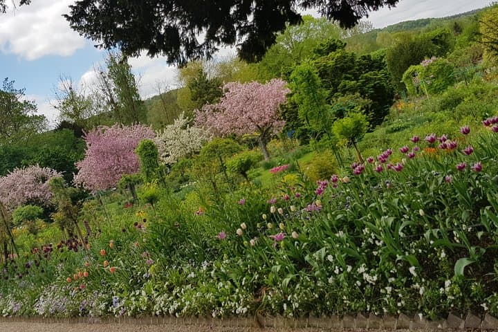Private day tour to Giverny Gardens and Rouen from Paris