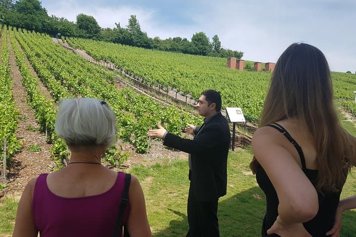 Private day tour in Champagne