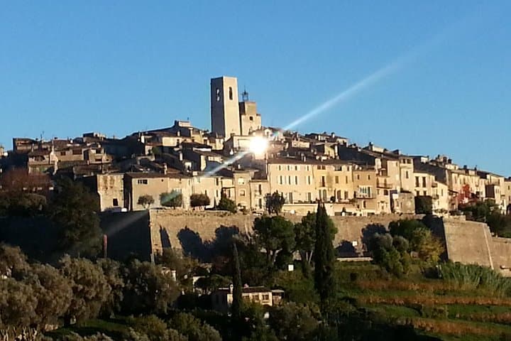 Half-Day Private French Riviera Tour from Nice