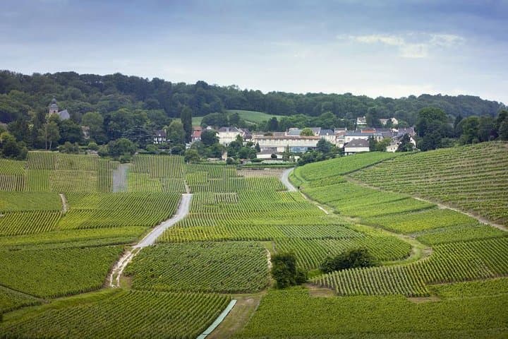 Champagne private tour