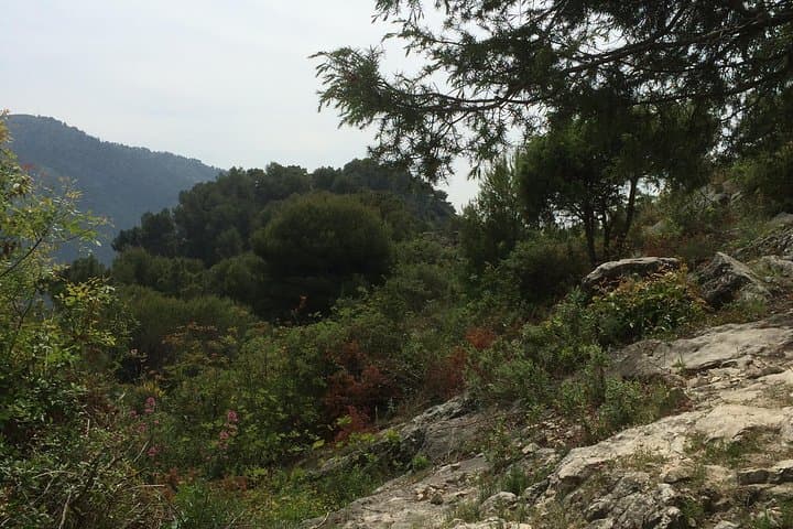 Wild promenade in nearby countryside