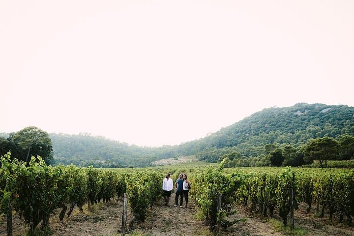 Winetour, wine tasting