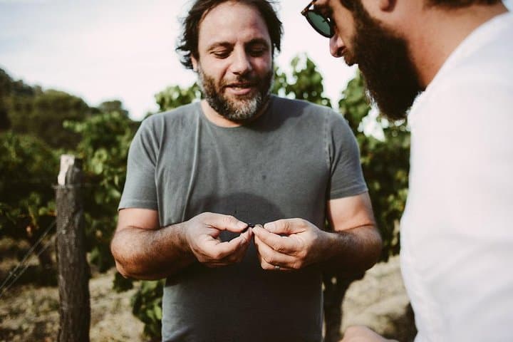 Tasting the fruit