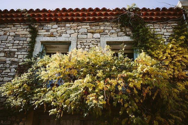 The visit of a medieval village