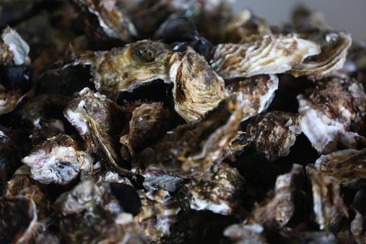 tour to Sete, an oyster farm & Wine Tasting